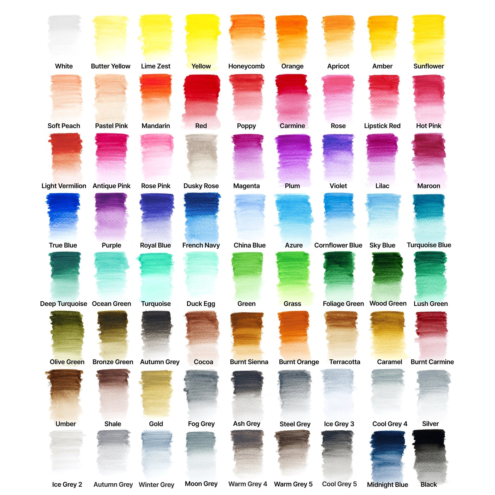 WINSOR & NEWTON Studio Collection Crayons Aquarellable X72