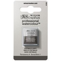 WINSOR & NEWTON Pro Watercolour 1/2G 428 Gris D Ostwald