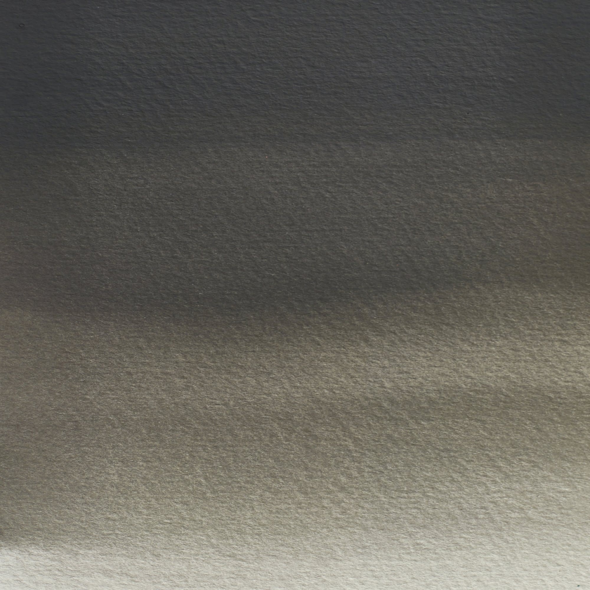 WINSOR & NEWTON Professional Aquarelle 1/2 Godet Gris D Ostwald