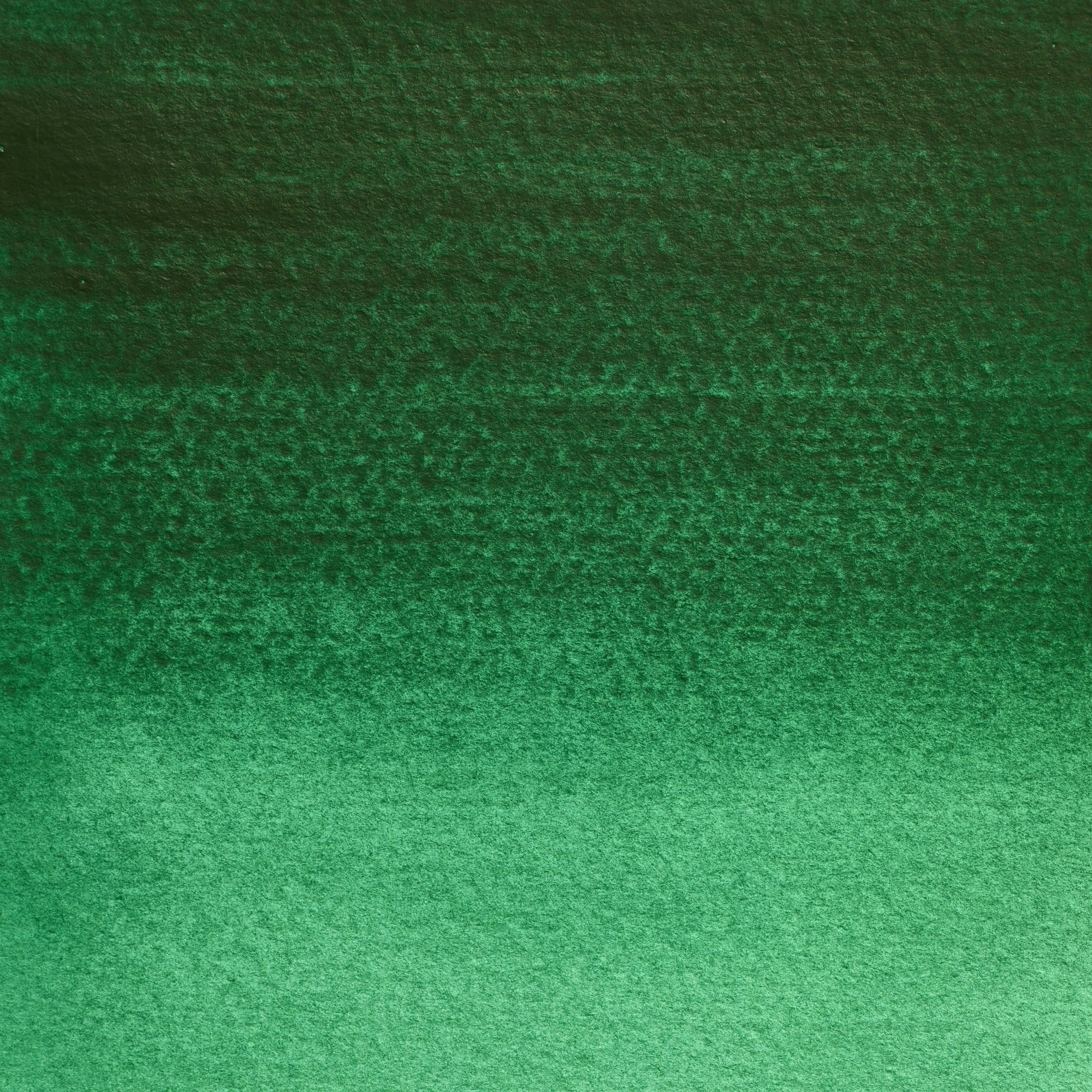 WINSOR & NEWTON Professional Aquarelle 1/2 Godet Nuance De Vert De Guignet