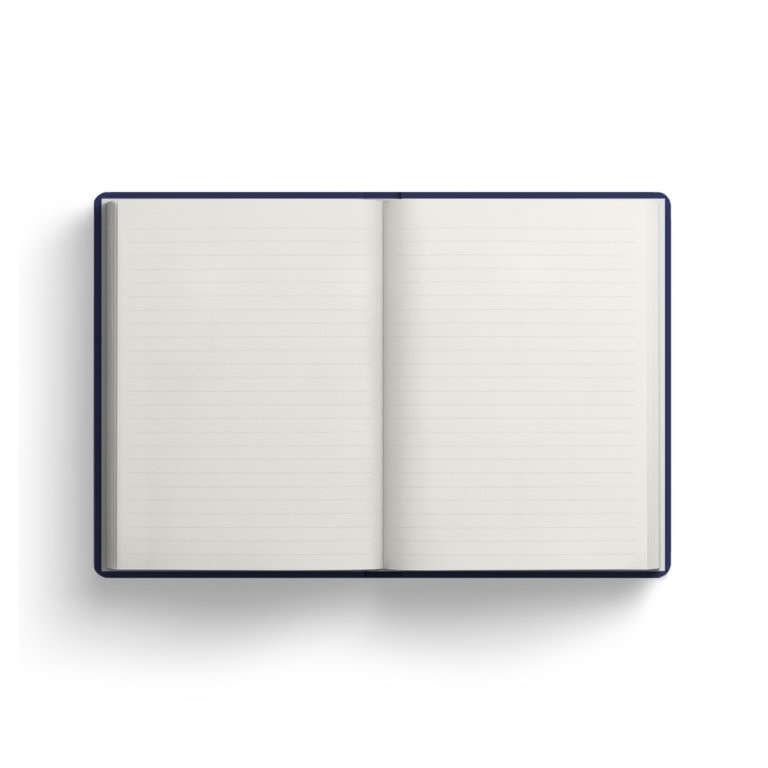 OHH DEER Striped Frog Perfect Bound Notebook (A6) (12361)