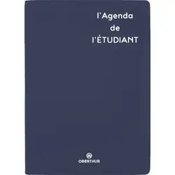 OBERTHUR Agenda Humour Gomme 1 jour par page 13x18cm Marine