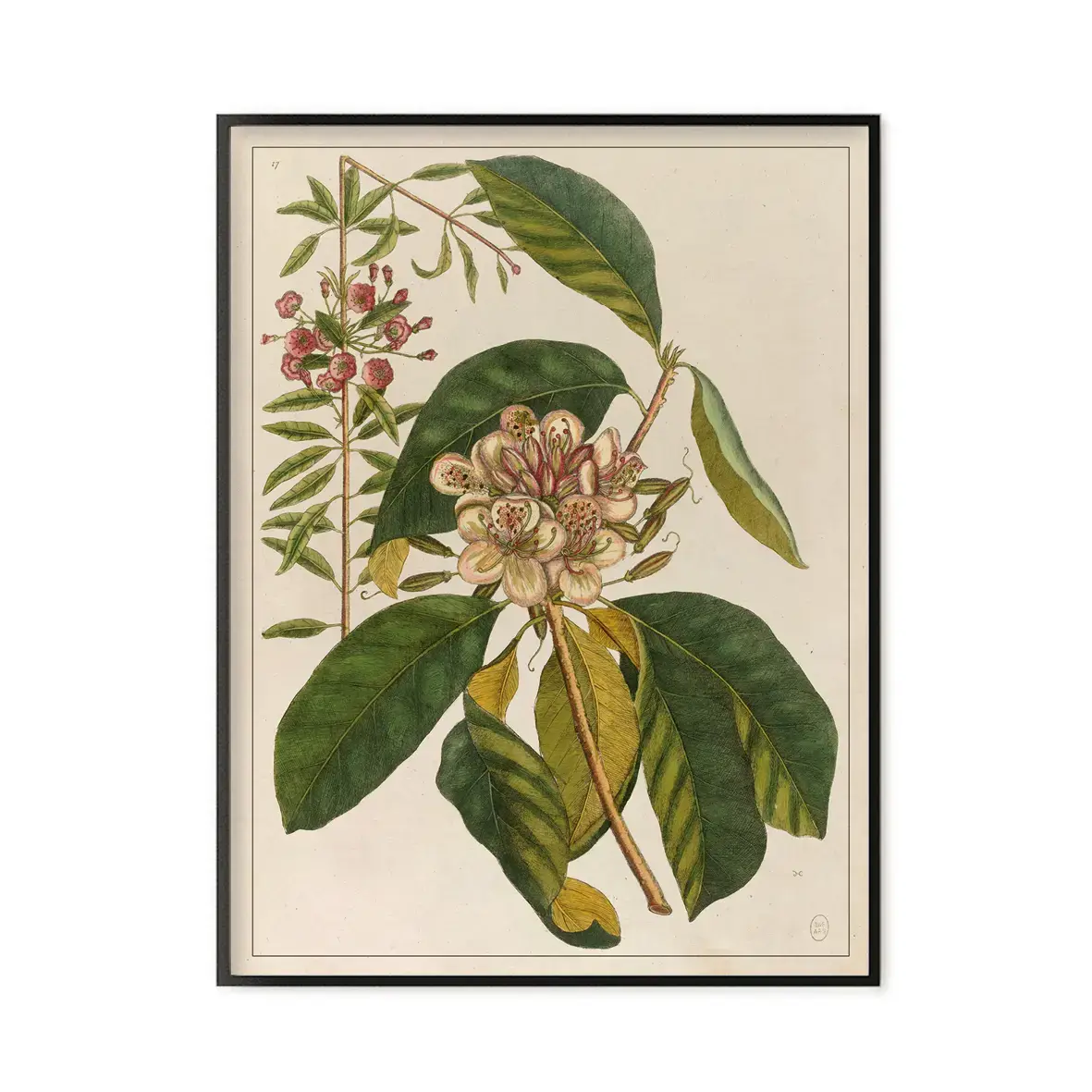 LES JOLIES PLANCHES Planche Fleur