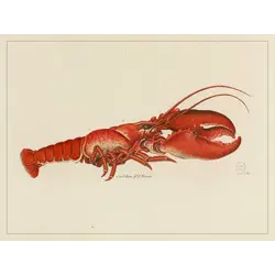 LES JOLIES PLANCHES Planche Homard