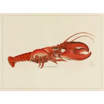 LES JOLIES PLANCHES Planche Homard
