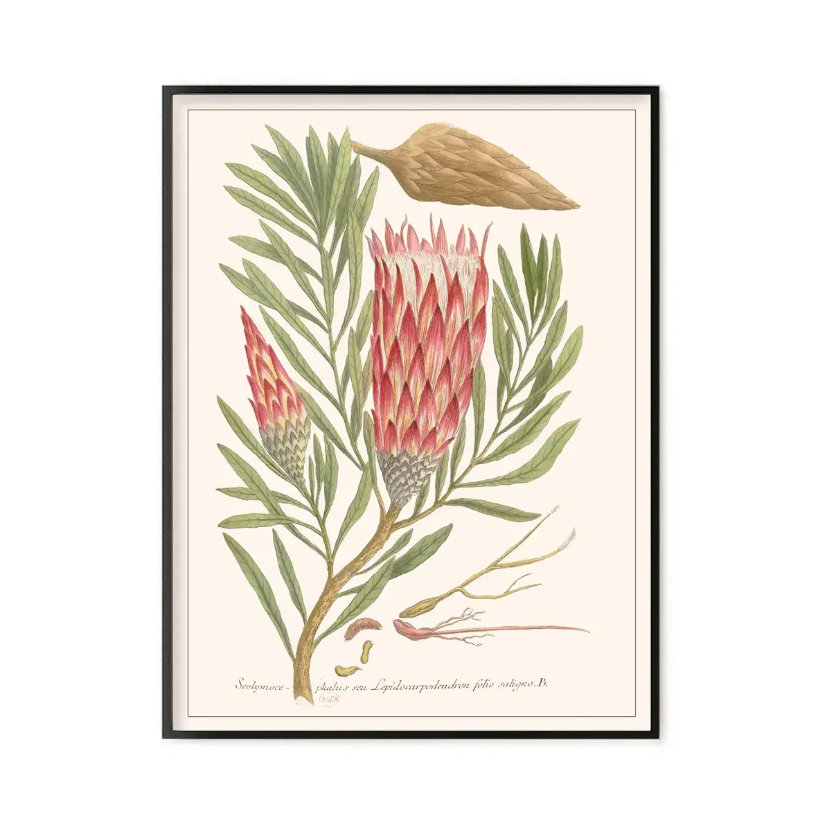 LES JOLIES PLANCHES Planche Fleur Scolimoce