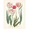 LES JOLIES PLANCHES Planche Fleur Tulipes