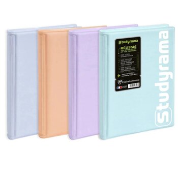 EXACOMPTA Agenda Journalier Studyrama Pastel coloris aléatoires