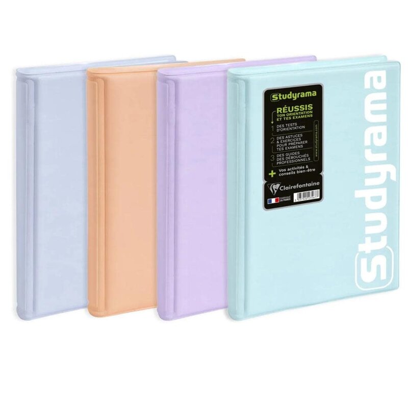 EXACOMPTA Agenda Journalier Studyrama Pastel coloris aléatoires