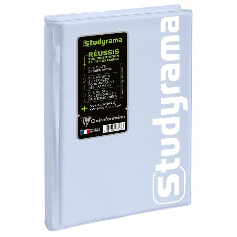 EXACOMPTA Agenda Journalier Studyrama Pastel coloris aléatoires
