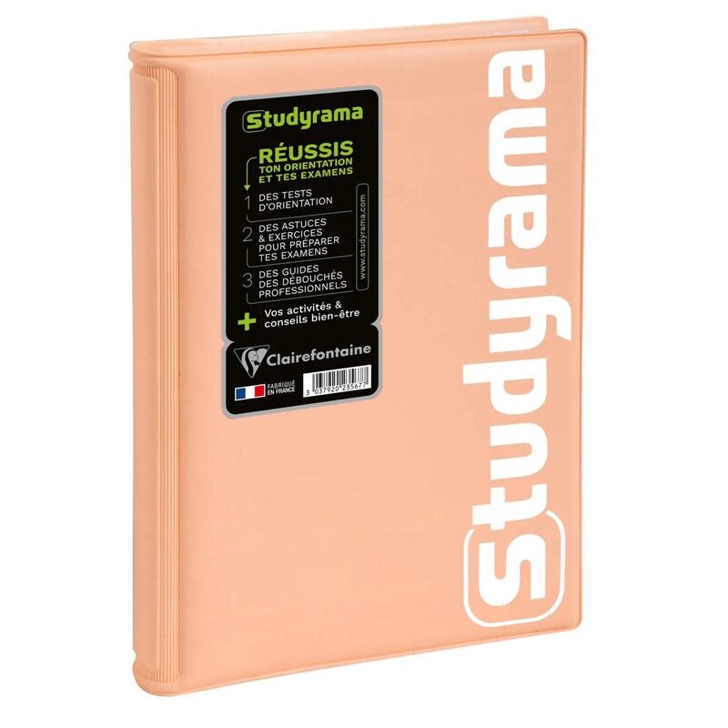 EXACOMPTA Agenda Journalier Studyrama Pastel coloris aléatoires
