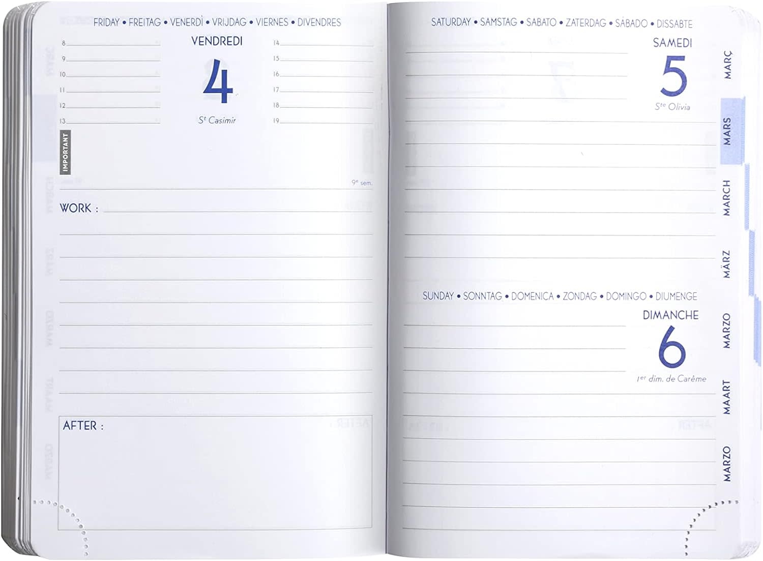 EXACOMPTA Agenda journalier Work&After Floral Bleu