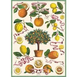 CAVALLINI & Co. Affiche L'Orangerie 50x70cm