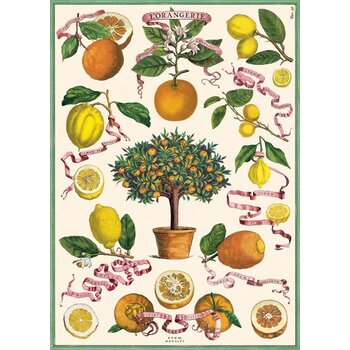 CAVALLINI & Co. Affiche L'Orangerie 50x70cm
