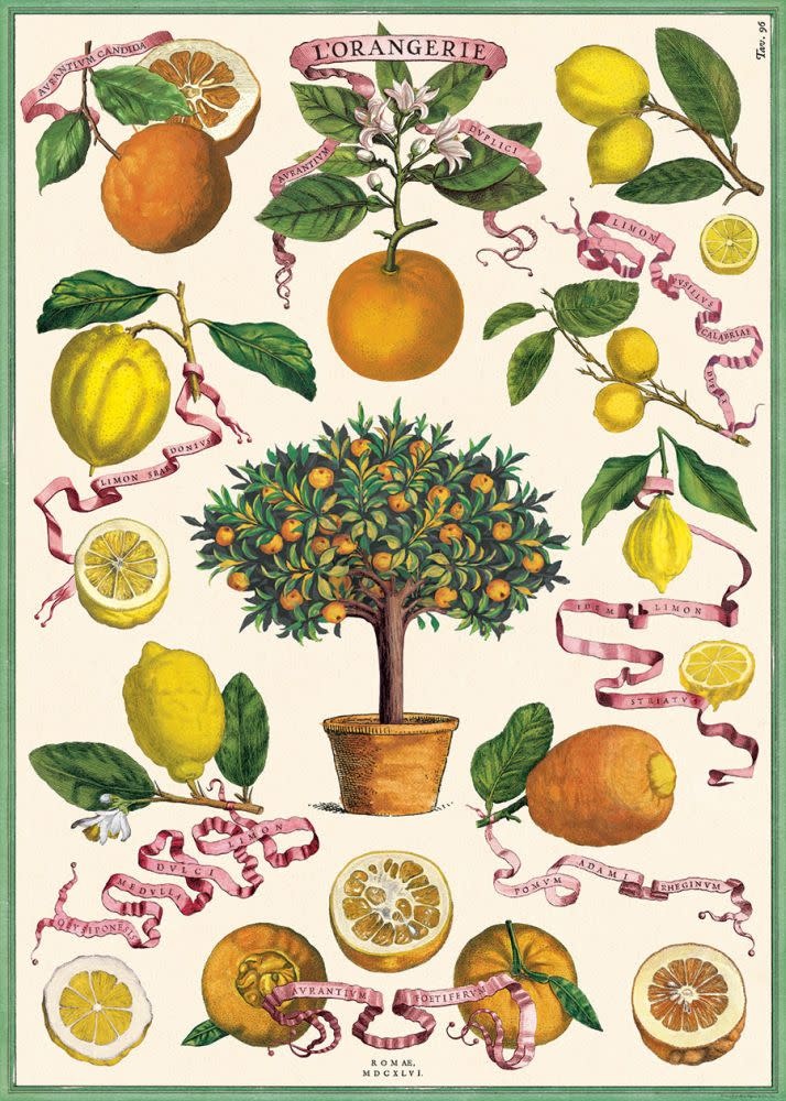 CAVALLINI & Co. Affiche L'Orangerie 50x70cm