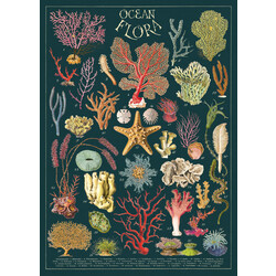 CAVALLINI & Co. Affiche Fleurs Des Océans 50x70cm