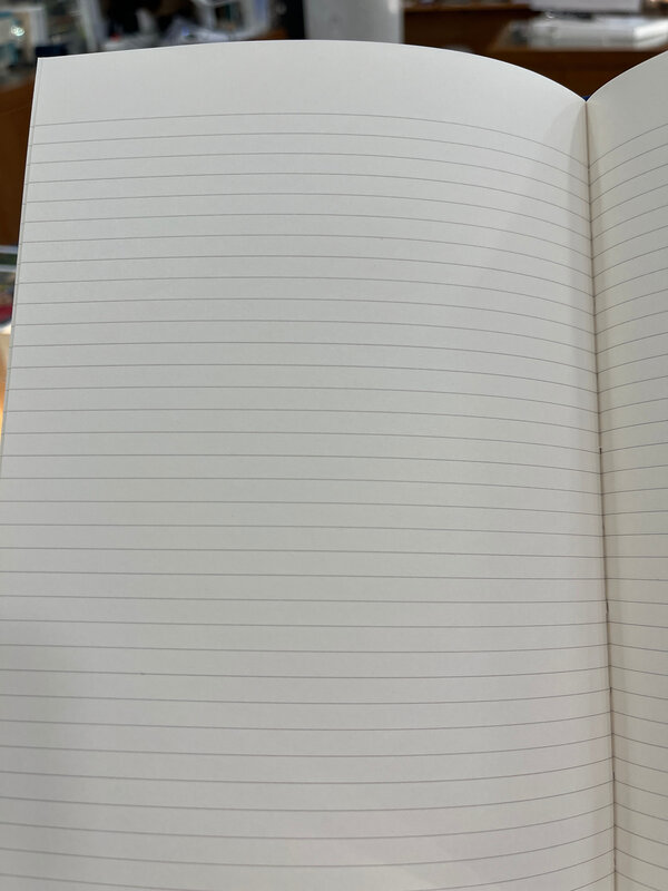 FLAMMARION Carnet Les Femmes Qui Lisent Sont Dangereuses