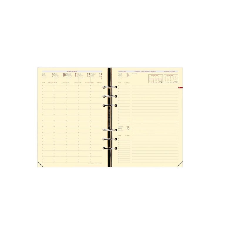 QUO VADIS Recharge Agenda Timer 21 16 mois Pre Fr Rech S/F