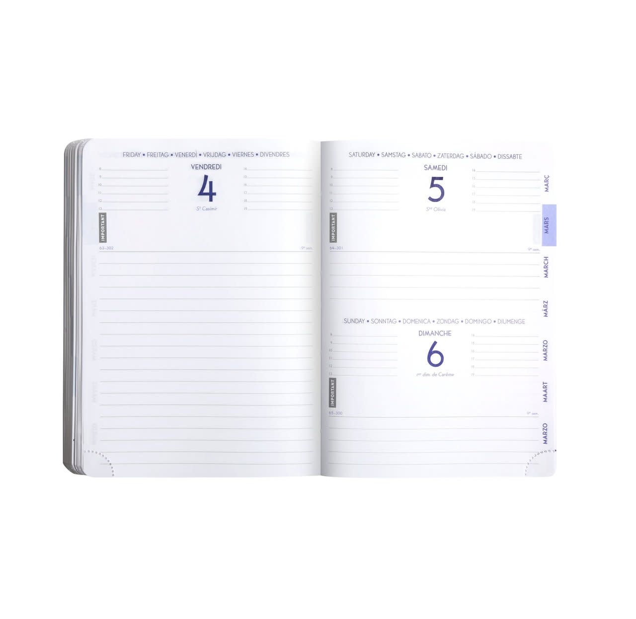 EXACOMPTA Agenda Forum Kraft Branches 12 x 17 cm Journalier Août 2025 à Juillet 2026