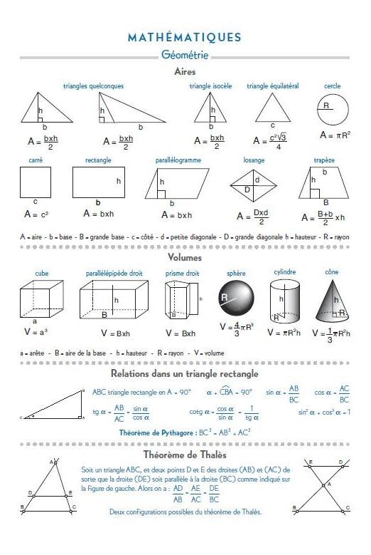 EXACOMPTA Agenda Forum Eden 12 x 17 cm Journalier Août 2025 à Juillet 2026 - Rose
