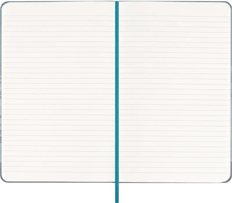 MOLESKINE Carnet de notes Casa Batlló Édition spéciale Grand format Ligné Couverture rigide