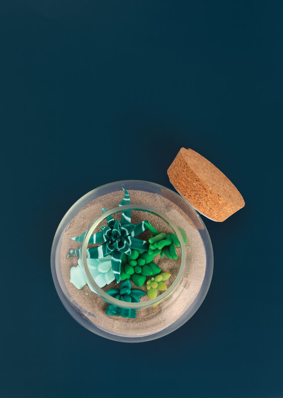 GRAINE CREATIVE Kit Fimo Terrarium