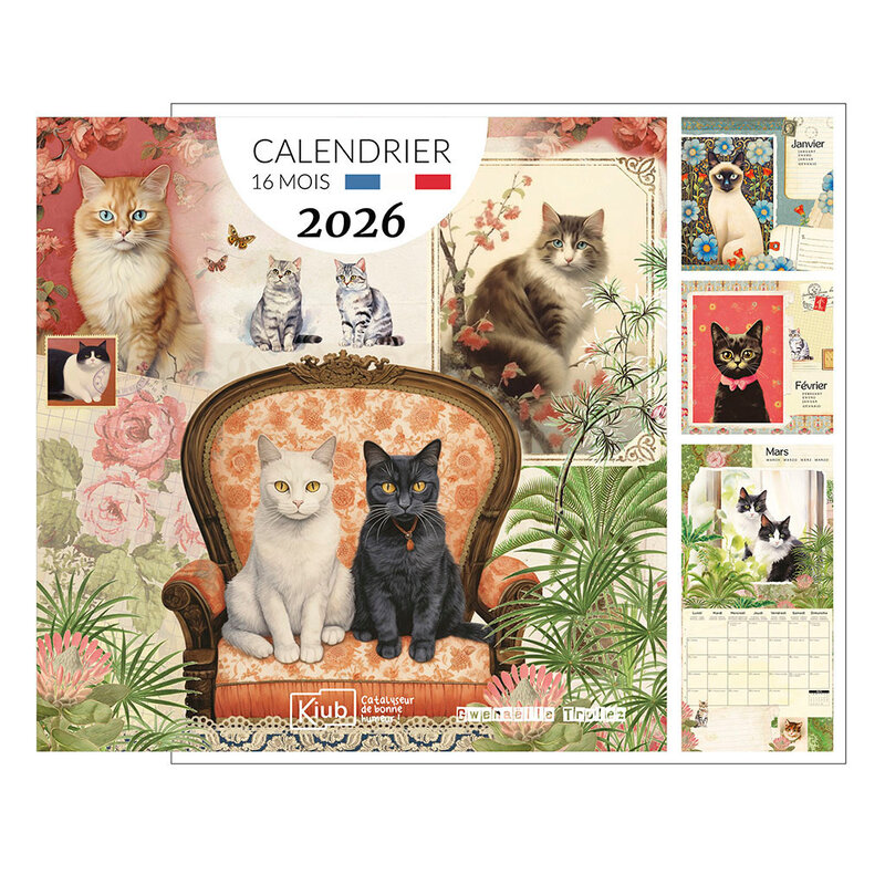 KIUB Calendrier Classique 16 Mois 2026 Gwenaelle Trolez Chats