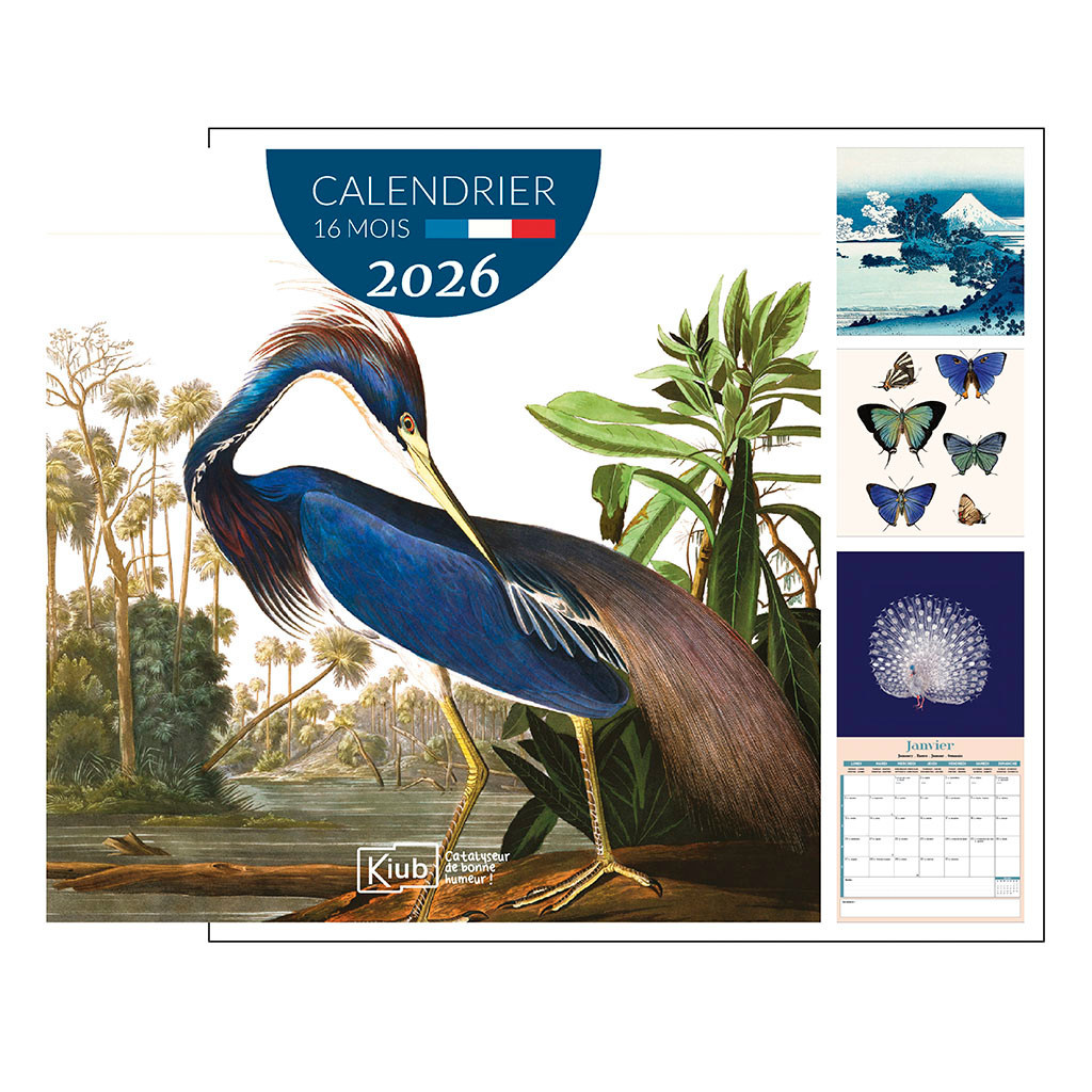 KIUB Calendrier Classique 16 Mois 2026 The Dybdahl Co. - Nuancier Bleu