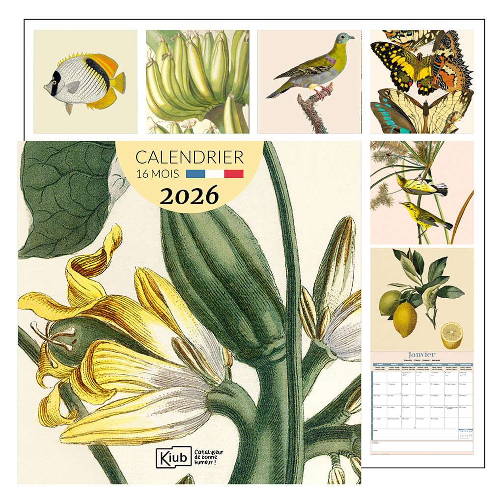 KIUB Calendrier Classique 16 Mois 2026 The Dybdahl Co. - Nuancier Jaune