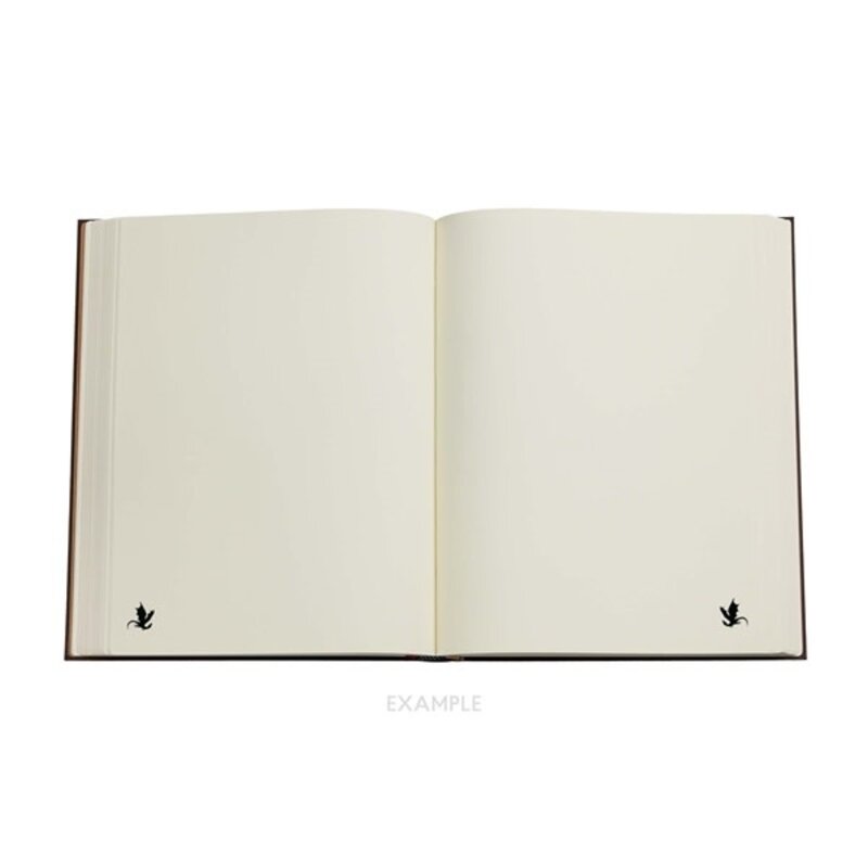 PAPERBLANKS Carnets à couverture rigide Pénombre de Navarre Midi Non Ligné