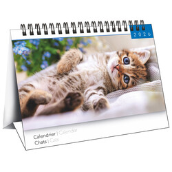 Calendriers Chevalet 16x18cm 16 mois 2025-2026 Chats