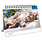 Calendriers Chevalet 16x18cm 16 mois 2025-2026 Chats