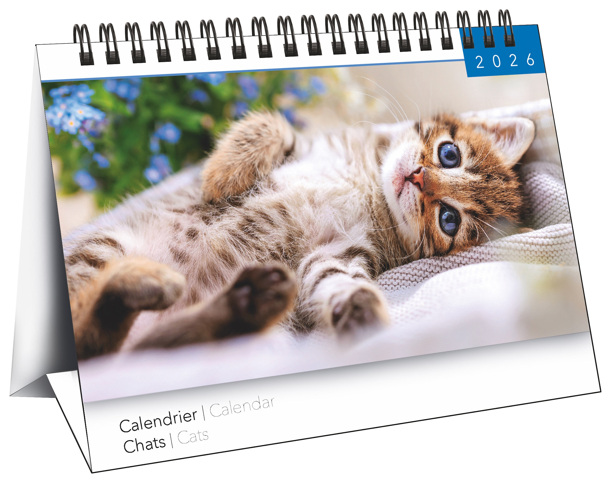 Calendriers Chevalet 16x18cm 16 mois 2025-2026 Chats