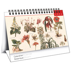 Calendriers Chevalet 16x18cm 16 mois 2025-2026 Botanique