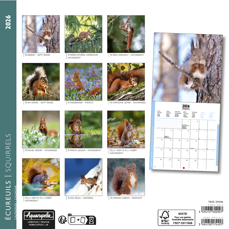 Calendriers 16x16cm 16 mois 2025-2026 Ecureuils