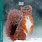 Calendriers 16x16cm 16 mois 2025-2026 Ecureuils