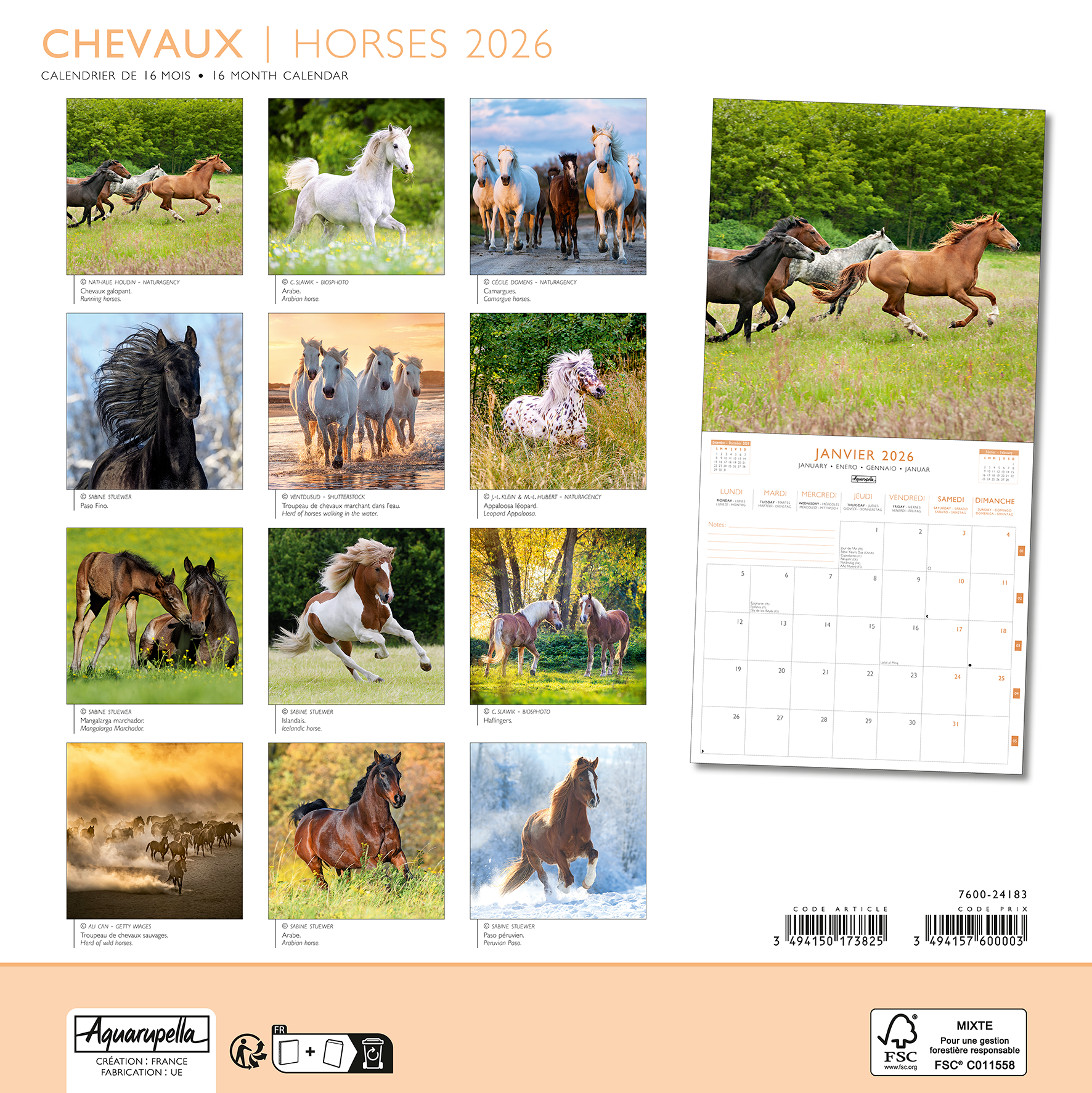 Calendriers 30x30cm 16 mois 2025-2026 Chevaux