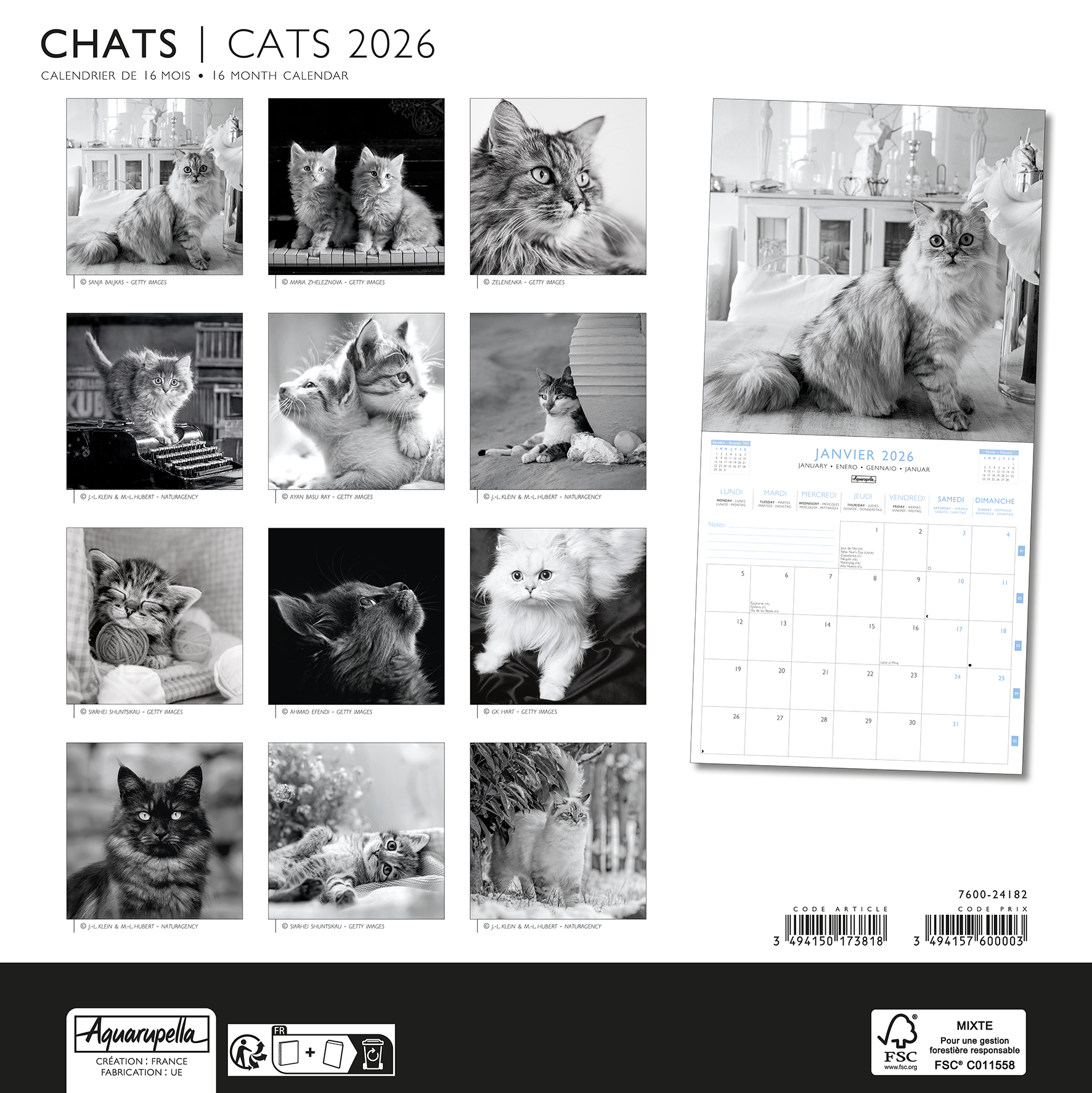 Calendriers 30x30cm 16 mois 2025-2026 Chats N&B