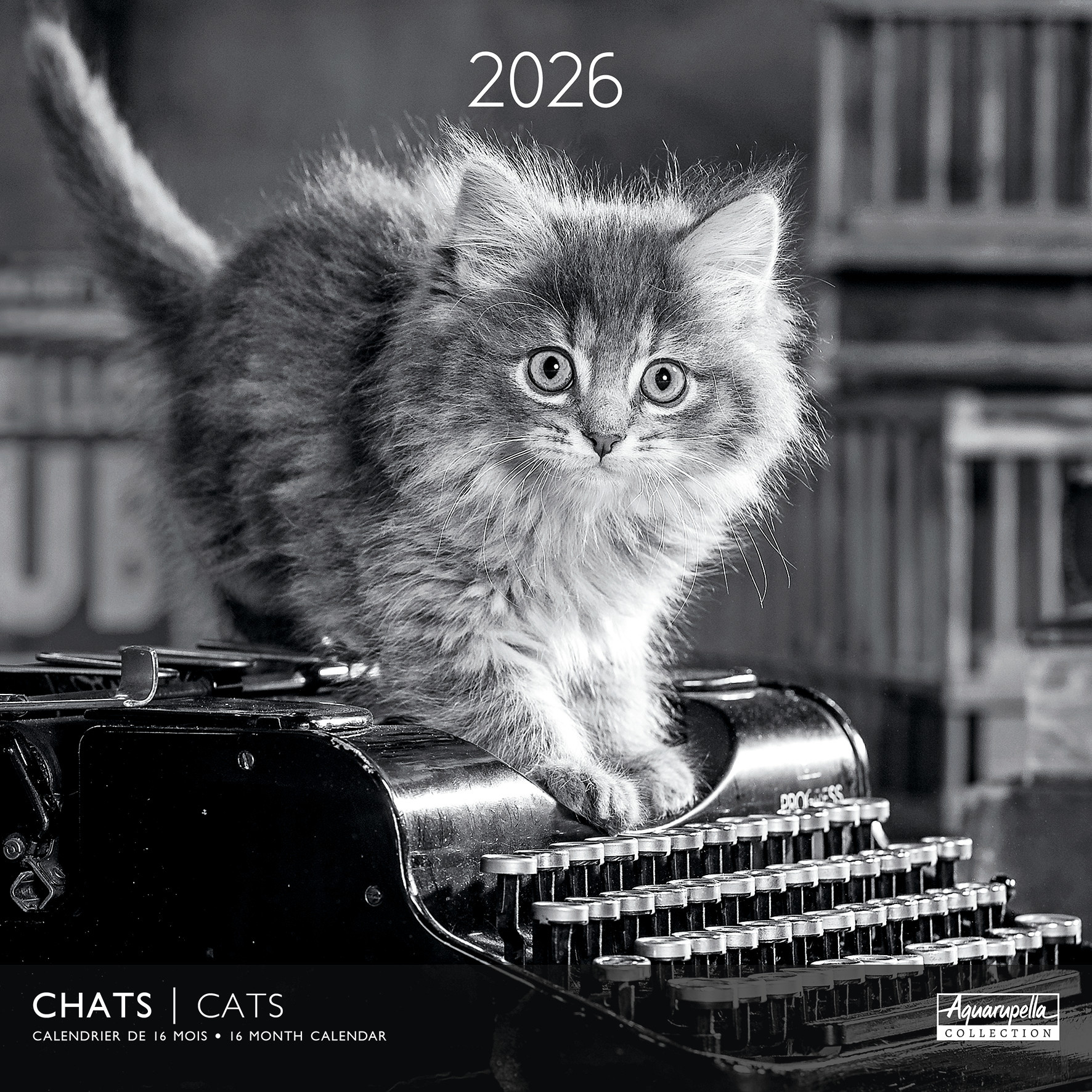 Calendriers 30x30cm 16 mois 2025-2026 Chats N&B