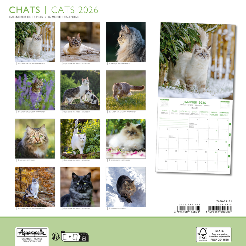 Calendriers 30x30cm 16 mois 2025-2026 Chats