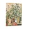 PAPERBLANKS Agenda 1 jour/page- 2026 12-Mois Cezanne’s Terracotta Pots and Flowers Midi