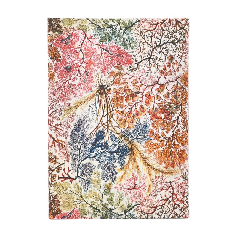 PAPERBLANKS Agenda Semainier Vertical - 2026 12-Mois Anemone Midi