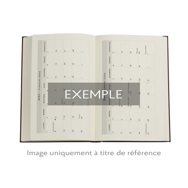 PAPERBLANKS Agenda 1 jour/page - 2026 12-Mois Foiled Mini