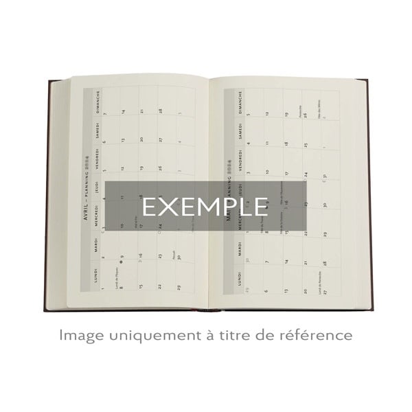 PAPERBLANKS Agenda 1 jour/page - 2026 12-Mois Blue Luxe Midi