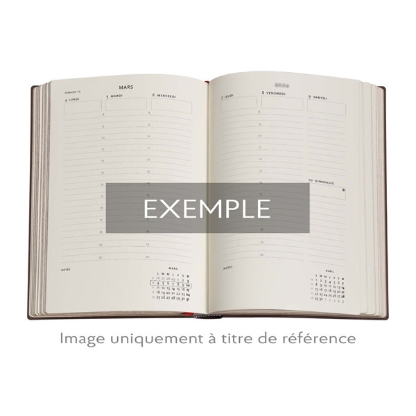 PAPERBLANKS Agenda Semainier Vertical - 2026 12-Mois Blue Luxe Mini