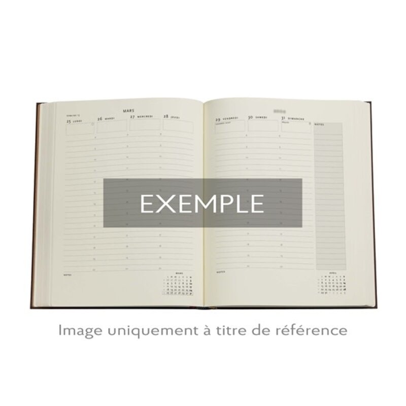 PAPERBLANKS Agenda Semainier Vertical - 2026 12-Mois Layla Ultra