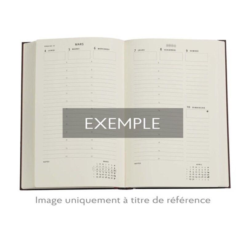PAPERBLANKS Agenda Semainier Vertical - 2026 12-Mois Spinola Hours Maxi