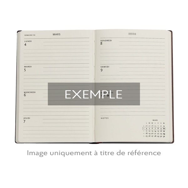 PAPERBLANKS Agenda Semainier Horizontal - 2026 12-Mois Van Gogh’s Irises Mini