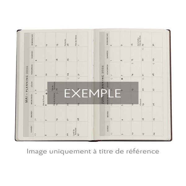 PAPERBLANKS Agenda Semainier Horizontal - 2026 12-Mois Flexis Wildwood Maxi