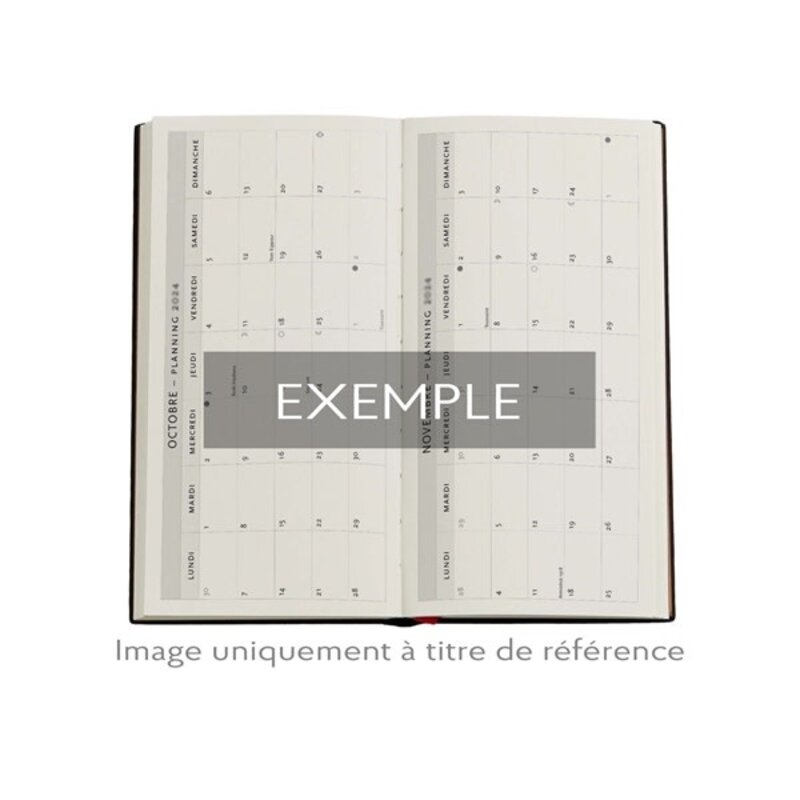 PAPERBLANKS Agenda Semainier Horizontal - 2026 12-Mois Gaudi’s Sun Slim